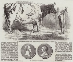 Christmas Grand Poultry Show by Harrison William Weir